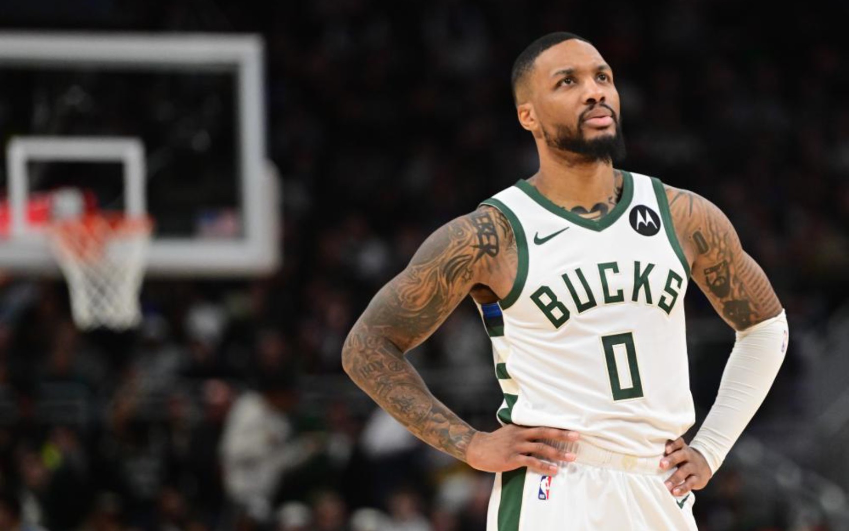 它们具备自 它们具备自